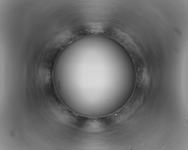 X0000112410704200908141401