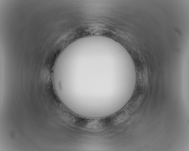 X0000112410705200908141401