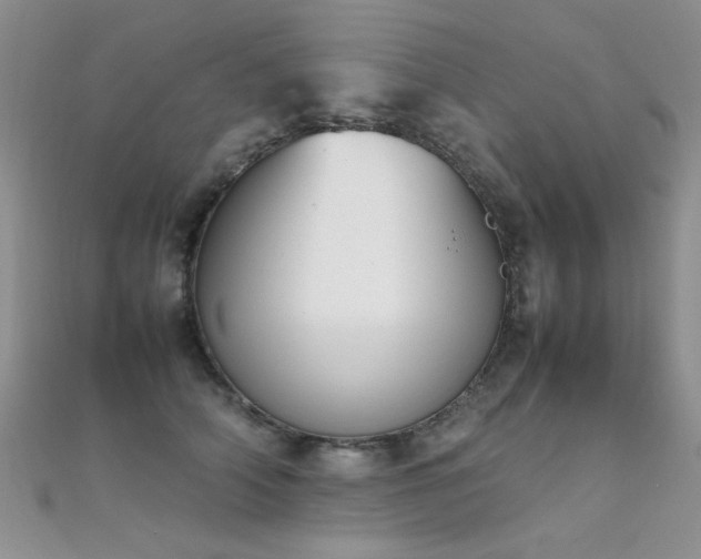 X0000112410706200908141401