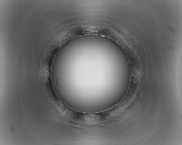 X0000112410707200908141401