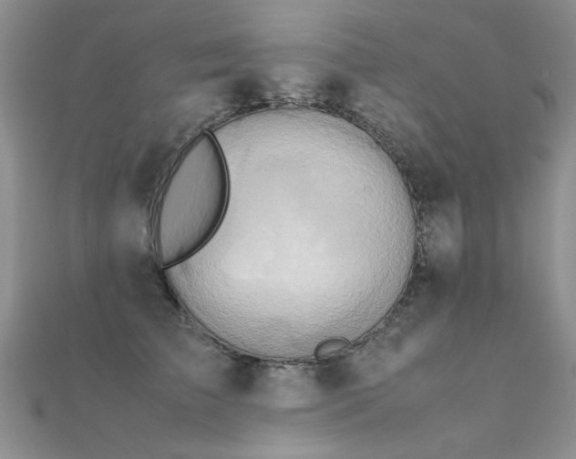 X0000112410709200908141401