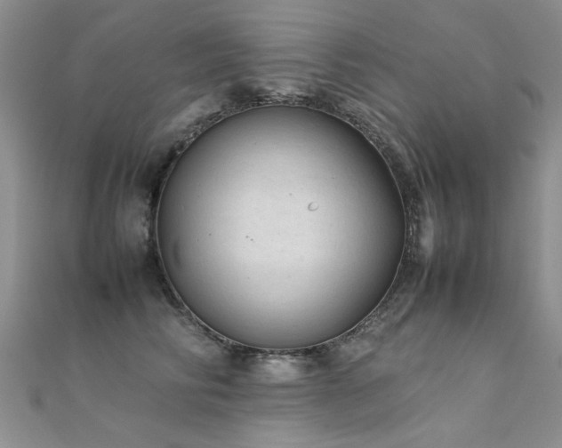 X0000112410710200908141401
