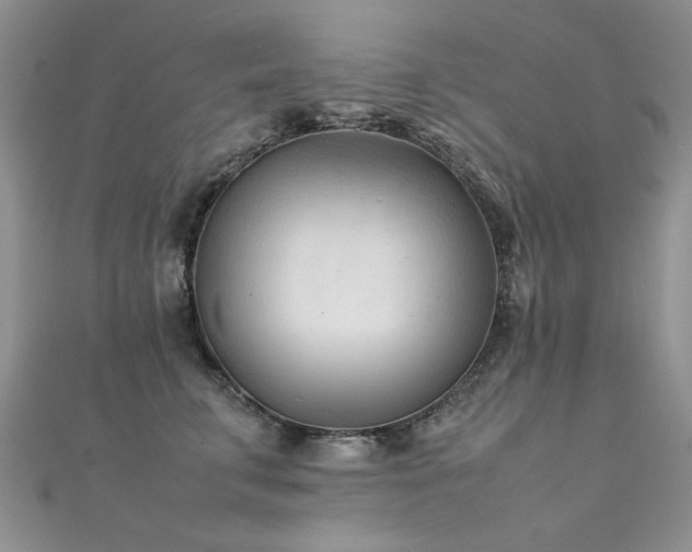 X0000112410711200908141401
