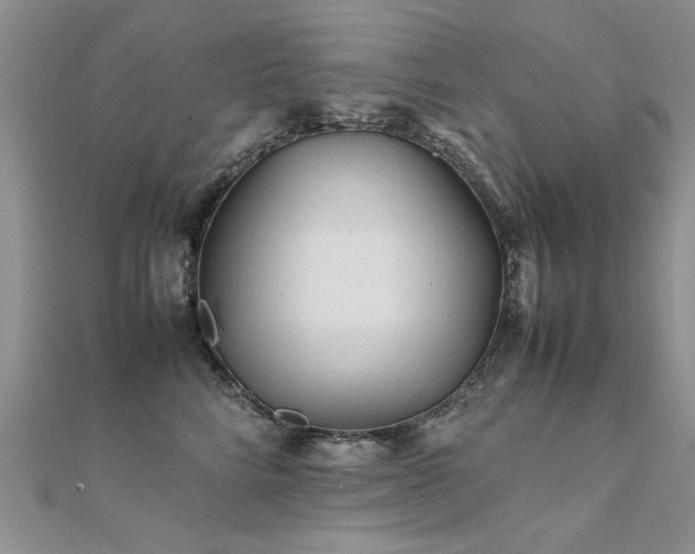 X0000112410712200908141401