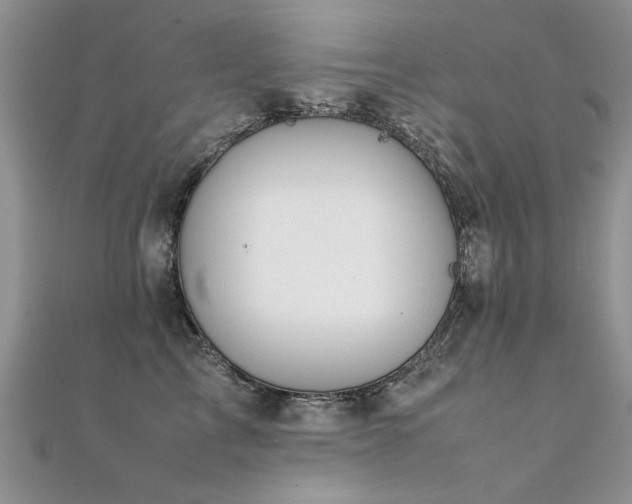 X0000112410713200908141401