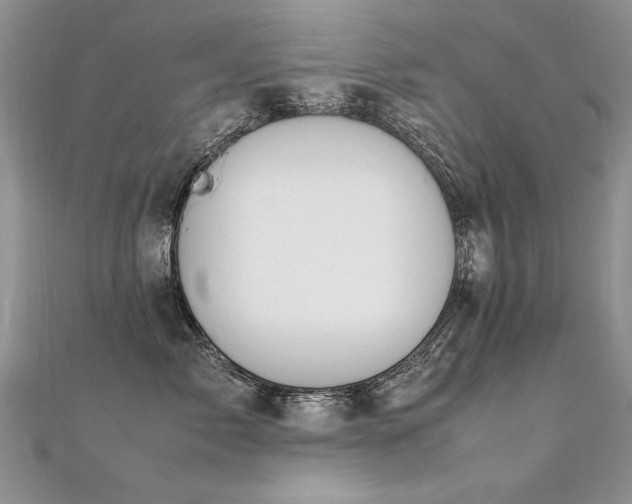 X0000112410717200908141401