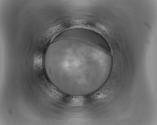 X0000112410720200908141400