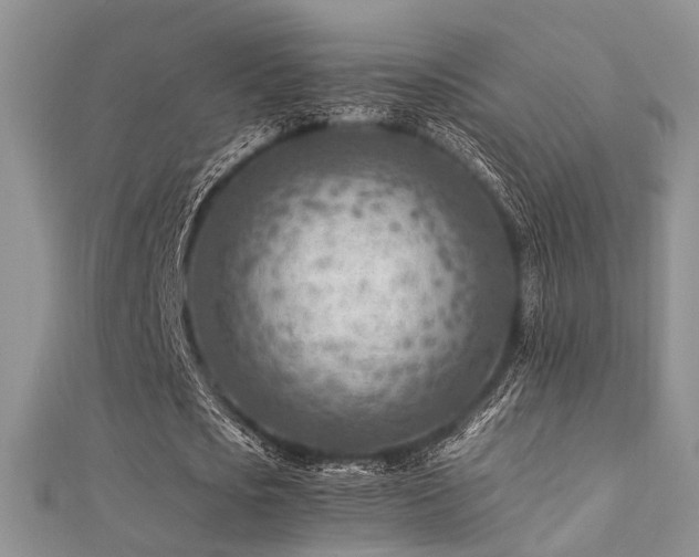 X0000112410721200908141400