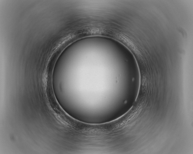 X0000112410722200908141400
