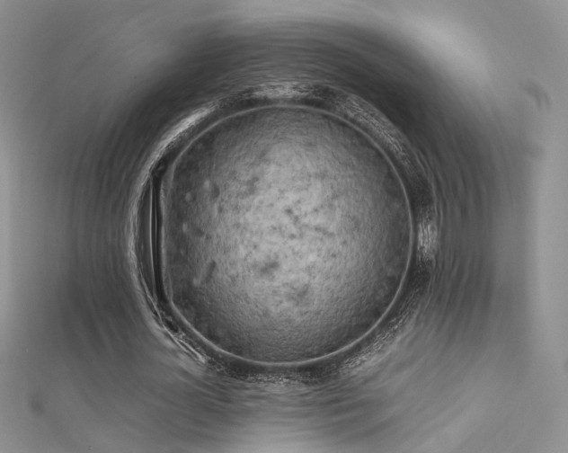 X0000112410724200908141400