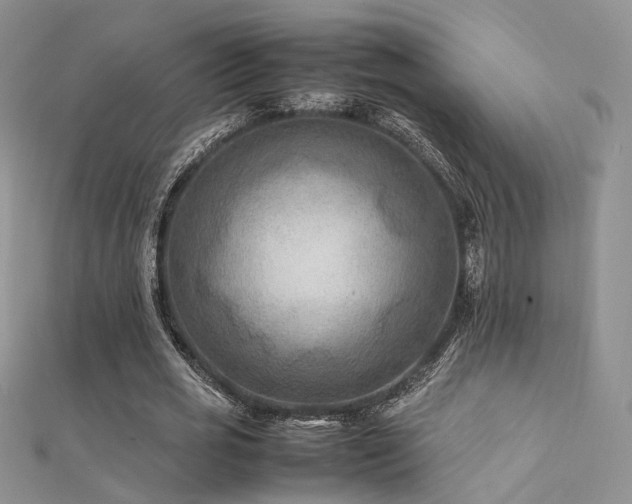 X0000112410725200908141400