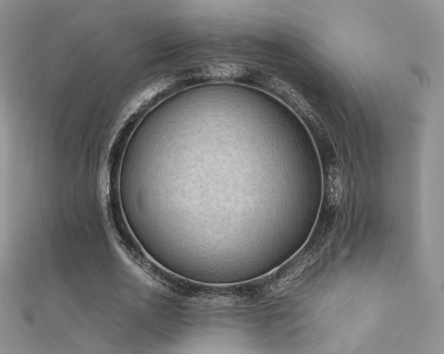 X0000112410726200908141400