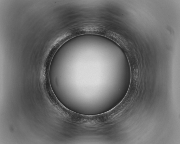 X0000112410727200908141400