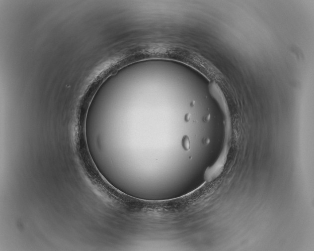 X0000112410728200908141400