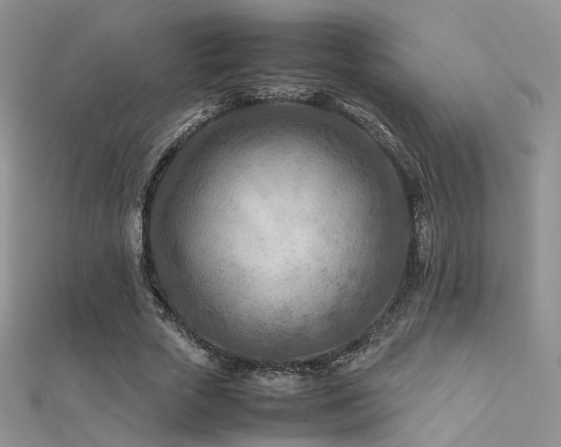 X0000112410729200908141400