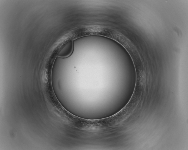 X0000112410731200908141400