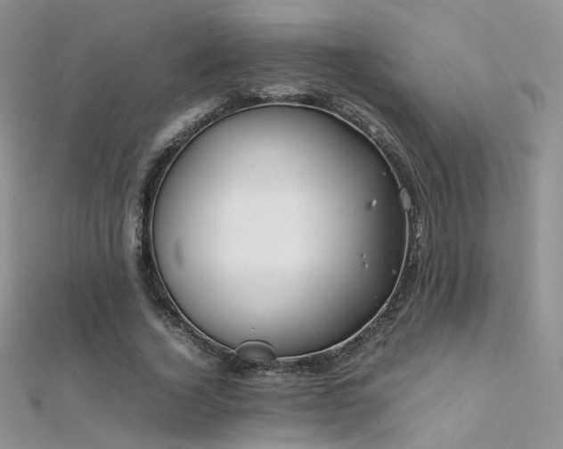 X0000112410732200908141400