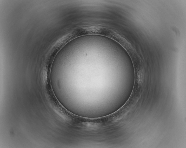 X0000112410733200908141400