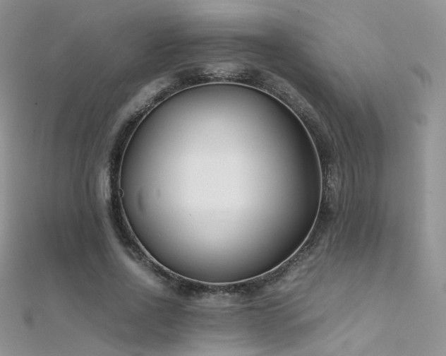 X0000112410734200908141400