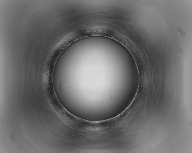 X0000112410735200908141400