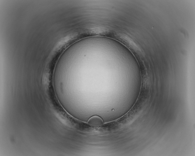 X0000112410736200908141400