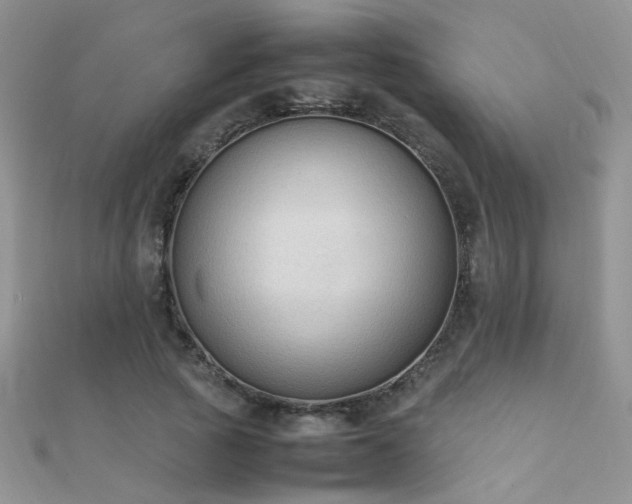 X0000112410737200908141400