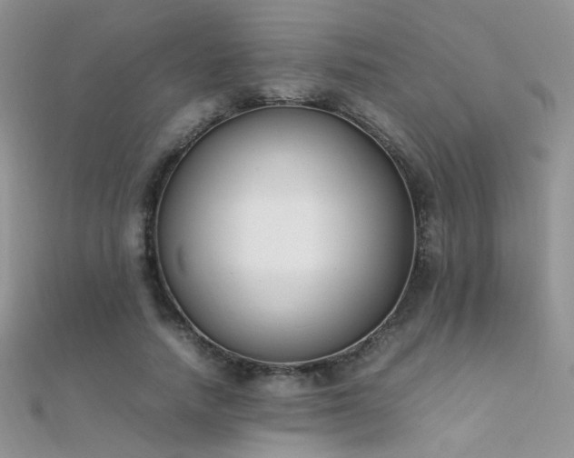 X0000112410738200908141400