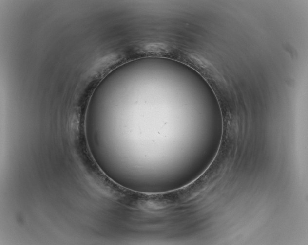 X0000112410739200908141400