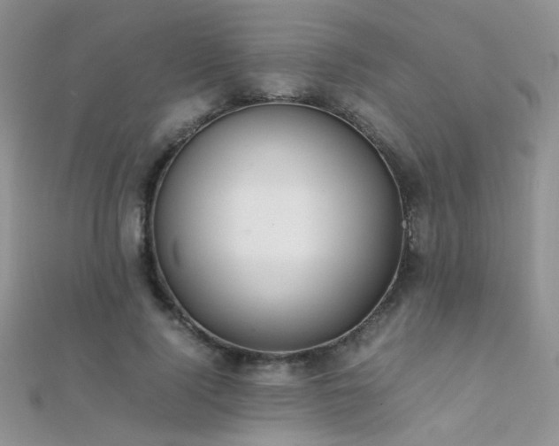 X0000112410740200908141400