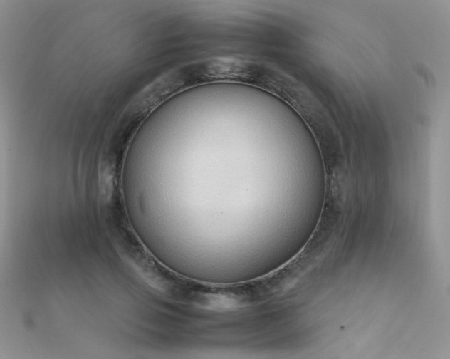 X0000112410741200908141400