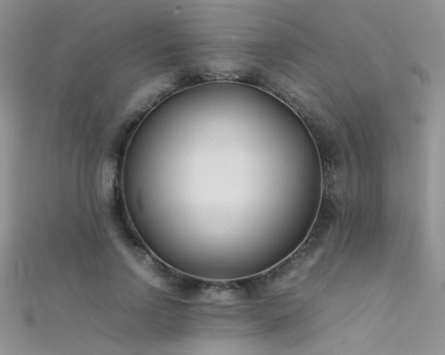 X0000112410742200908141400