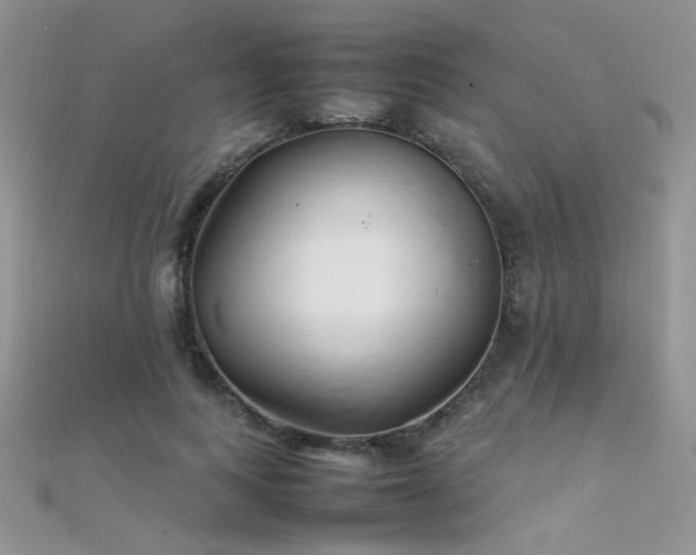 X0000112410743200908141400
