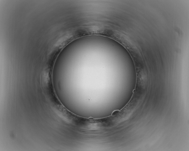 X0000112410746200908141400