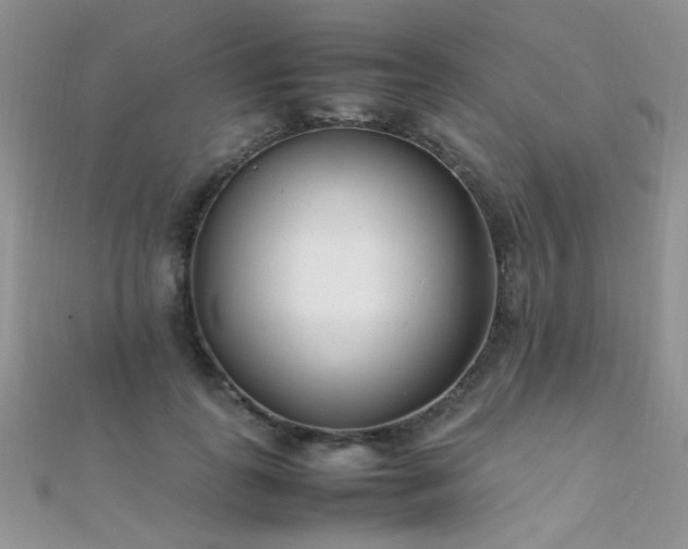 X0000112410747200908141400