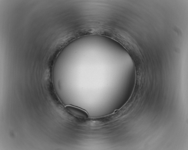 X0000112410748200908141400