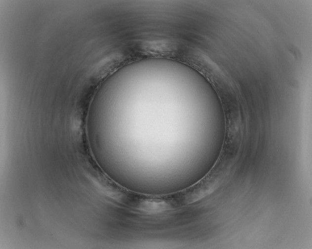 X0000112410749200908141400