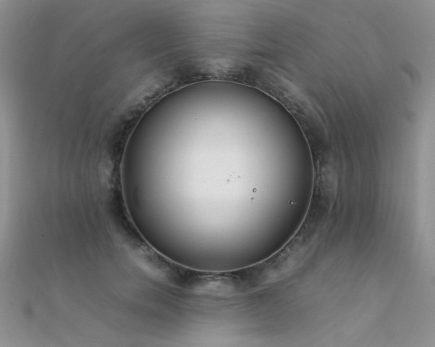 X0000112410750200908141400