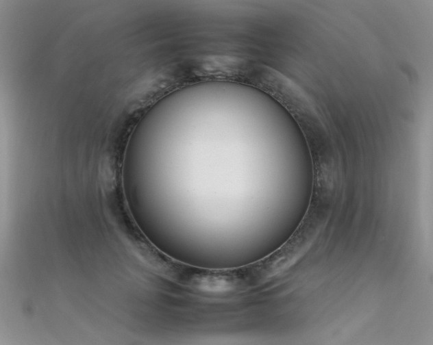 X0000112410751200908141400
