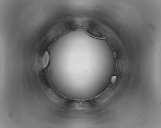 X0000112410752200908141400