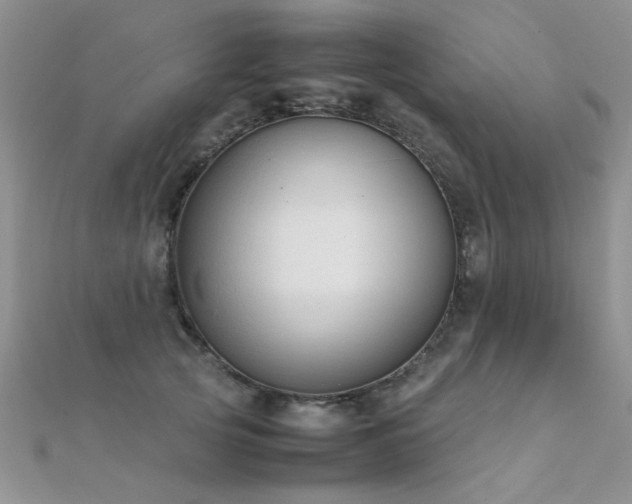 X0000112410753200908141400