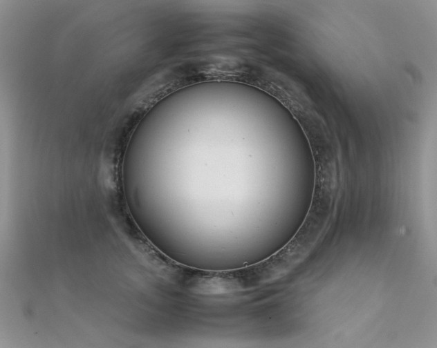 X0000112410755200908141400