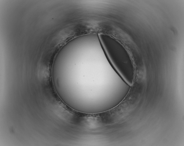 X0000112410756200908141400