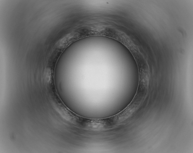 X0000112410758200908141400