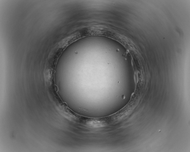 X0000112410759200908141400