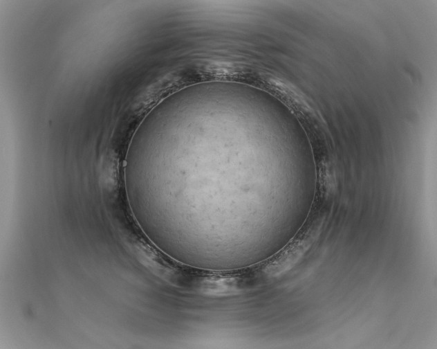 X0000112410760200908141400