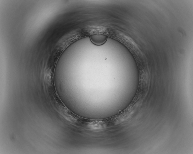 X0000112410761200908141400