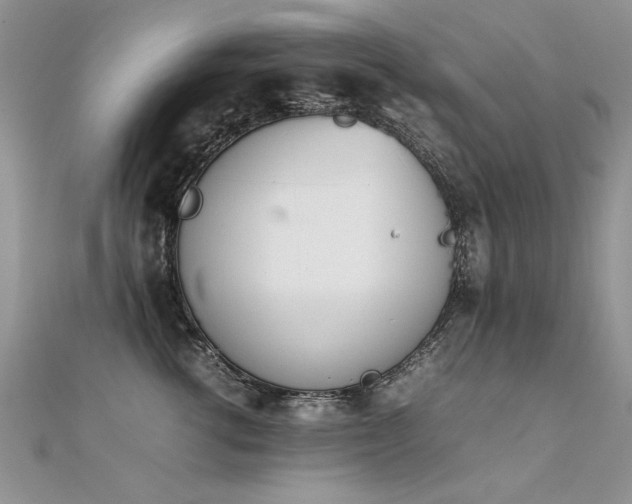 X0000112410762200908141400