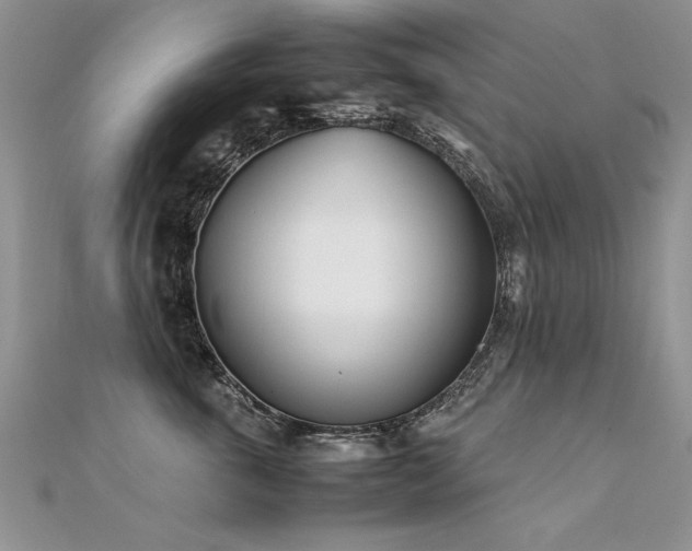 X0000112410763200908141400