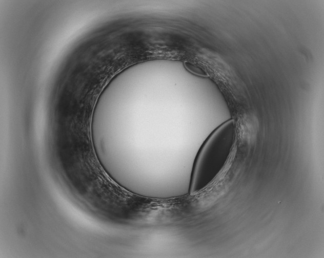 X0000112410764200908141400