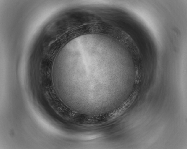 X0000112410765200908141400